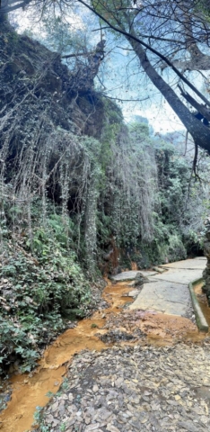 Portugos, Sierra Nevada