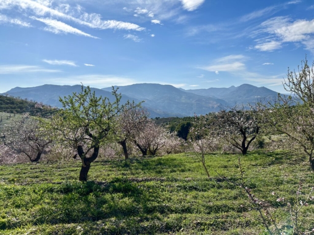 Sierra Nevada